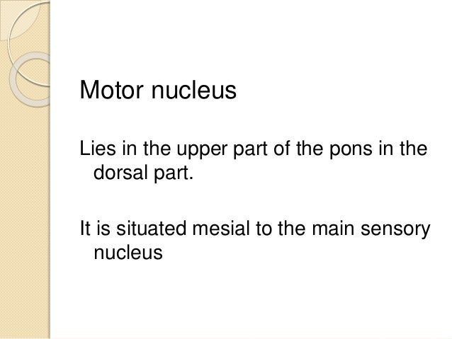 And kinesthesis