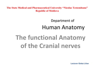 Department of
Human Anatomy
The functional Anatomy
of the Cranial nerves
The State Medical and Pharmaceutical University “Nicolae Testemitanu”
Republic of Moldova
Lecturer Globa Lilian
 