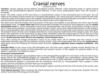 Cranial nervesFacial Nerve (CN VII)
Functions: Sensory (special visceral afferent and general somatic afferent), motor (branchial motor or special visceral
efferent), and parasympathetic (general visceral efferent). It also carries proprioceptive fibers from the muscles it
innervates.
Nuclei: The motor nucleus of the facial nerve is a branchiomotor nucleus in the ventrolateral part of the pons. The cell
bodies of the primary sensory neurons are in the geniculate ganglion. The central processes of those concerned with taste
end in the nuclei of the solitary tract in the medulla. The processes of those concerned with general sensations (pain, touch,
and thermal) from around the external ear end in the spinal nucleus of the trigeminal nerve.
The facial nerve (CN VII) emerges from the junction of the pons and medulla as two divisions, the motor root and the
intermediate nerve. The larger motor root (facial nerve proper) innervates the muscles of facial expression, and the smaller
intermediate nerve (L. nervus intermedius) carries taste, parasympathetic, and somatic sensory fibers. During its course,
CN VII traverses the posterior cranial fossa, internal acoustic meatus, facial canal, stylomastoid foramen of the temporal
bone, and parotid gland. After traversing the internal acoustic meatus, the nerve proceeds a short distance anteriorly within
the temporal bone and then turns abruptly posteriorly to course along the medial wall of the tympanic cavity. The sharp
bend is the geniculum of the facial nerve (L. genu, knee), sometimes called the external genu of CN VII, the site of the
geniculate ganglion (sensory ganglion of CN VII). While traversing the temporal bone within the facial canal, CN VII gives rise
to the: Greater petrosal nerve. Nerve to the stapedius. Chorda tympani nerve.
Then, after running the longest intraosseous course of any cranial nerve, CN VII emerges from the cranium via the
stylomastoid foramen; gives off the posterior auricular branch; enters the parotid gland; and forms the parotid plexus,
which gives rise to the following five terminal motor branches: temporal, zygomatic, buccal, marginal mandibular, and
cervical.
Branchial Motor As the nerve of the 2nd pharyngeal arch, the facial nerve supplies striated muscles derived from its
mesoderm, mainly the muscles of facial expression and auricular muscles. It also supplies the posterior bellies of the
digastric, stylohyoid, and stapedius muscles.
Presynaptic Parasympathetic
CN VII provides presynaptic parasympathetic fibers to the pterygopalatine ganglion for innervation of the lacrimal mucous
glands and to the submandibular ganglion for innervation of the sublingual and submandibular salivary glands. The
pterygopalatine ganglion is associated with the maxillary nerve (CN V2), which distributes its postsynaptic fibers, whereas
the submandibular ganglion is associated with the mandibular nerve (CN V3). Parasympathetic fibers synapse in these
ganglia, whereas sympathetic and other fibers pass through them.
General Sensory Some fibers from the geniculate ganglion supply a small area of the skin of the concha of the auricle, close
to external acoustic meatus.
Taste (Special Sensory) Fibers carried by the chorda tympani join the lingual nerve to convey taste sensation from the
anterior two thirds of the tongue and soft palate.
 