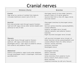Cranial nerves
 