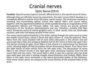 Cranial nerves
Optic Nerve (CN II)
Function: Special sensory (special somatic afferent) that is, the special sense of vision.
Although they are officially nerves by convention, the optic nerves (CN II) develop in a
completely different manner from the other cranial nerves. The structures involved in
receiving and transmitting optical stimuli (the optical fibers and neural retina,
together with the pigmented epithelium of the eyeball) develop as evaginations of the
diencephalon (Moore and Persaud, 2003). The optic nerves are paired, anterior
extensions of the forebrain (diencephalon) and are, therefore, actually CNS fiber
tracts formed by axons of retinal ganglion cells. In other words, they are third-order
neurons, with their cell bodies located in the retina.
The nerve passes posteromedially in the orbit, exiting through the optic canal to enter
the middle cranial fossa, where it forms the optic chiasm (L. chiasma opticum). Here,
fibers from the nasal (medial) half of each retina decussate in the chiasm and join
uncrossed fibers from the temporal (lateral) half of the retina to form the optic tract.
The partial crossing of optic nerve fibers in the chiasm is a requirement for binocular
vision, allowing depth-of-field perception (three-dimensional vision). Thus fibers from
the right halves of both retinas form the left optic tract. The decussation of nerve
fibers in the chiasm results in the right optic tract conveying impulses from the left
visual field and vice versa. The visual field is what is seen by a person who has both
eyes wide open and who is looking straight ahead (Hutchins and Corbett, 2002). Most
fibers in the optic tracts terminate in the lateral geniculate bodies of the thalamus.
From these nuclei, axons are relayed to the visual cortices of the occipital lobes of the
brain.
 