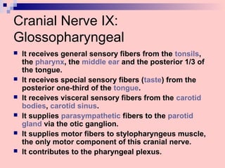 Cranial Nerve IX:
Glossopharyngeal
 It receives general sensory fibers from the tonsils,
the pharynx, the middle ear and the posterior 1/3 of
the tongue.
 It receives special sensory fibers (taste) from the
posterior one-third of the tongue.
 It receives visceral sensory fibers from the carotid
bodies, carotid sinus.
 It supplies parasympathetic fibers to the parotid
gland via the otic ganglion.
 It supplies motor fibers to stylopharyngeus muscle,
the only motor component of this cranial nerve.
 It contributes to the pharyngeal plexus.
 