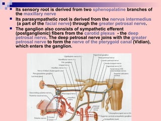  Its sensory root is derived from two sphenopalatine branches of
the maxillary nerve
 Its parasympathetic root is derived from the nervus intermedius
(a part of the facial nerve) through the greater petrosal nerve.
 The ganglion also consists of sympathetic efferent
(postganglionic) fibers from the carotid plexus - the deep
petrosal nerve. The deep petrosal nerve joins with the greater
petrosal nerve to form the nerve of the pterygoid canal (Vidian),
which enters the ganglion.
 