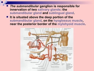  The submandibular ganglion is responsible for
innervation of two salivary glands: the
submandibular gland and sublingual gland.
 It is situated above the deep portion of the
submandibular gland, on the hyoglossus muscle,
near the posterior border of the mylohyoid muscle.
 
