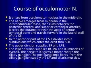 Course of occulomotor N.
 It arises from occulomotor nucleus in the midbrain.
 The nerve emerges from midbrain in the
interpeduncular fossa, then runs between the
posterior cerebral and superior cerebellar arteries,
pierces the duramater near the apex of petous
temporal bone and travels forward in the lateral wall
of the CS.
 In the anterior part of the CS it divides into 2
subdivisions which enter the orbit thru SOF.
 The upper division supplies SR and LPS.
 The lower division supplies IR, MR and IO muscles of
eyeball. The nerve to IO gives a motor root to the
ciliary ganglion.The post ganglionic fibres from the
ciliary ganglion supply the SP and ciliaris muscles.
 