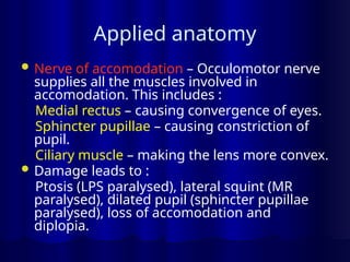 Applied anatomy
 Nerve of accomodation – Occulomotor nerve
supplies all the muscles involved in
accomodation. This includes :
Medial rectus – causing convergence of eyes.
Sphincter pupillae – causing constriction of
pupil.
Ciliary muscle – making the lens more convex.
 Damage leads to :
Ptosis (LPS paralysed), lateral squint (MR
paralysed), dilated pupil (sphincter pupillae
paralysed), loss of accomodation and
diplopia.
 