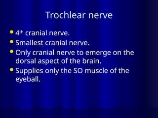 Trochlear nerve
4th
cranial nerve.
Smallest cranial nerve.
Only cranial nerve to emerge on the
dorsal aspect of the brain.
Supplies only the SO muscle of the
eyeball.
 