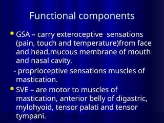Functional components
GSA – carry exteroceptive sensations
(pain, touch and temperature)from face
and head,mucous membrane of mouth
and nasal cavity.
- proprioceptive sensations muscles of
mastication.
SVE – are motor to muscles of
mastication, anterior belly of digastric,
mylohyoid, tensor palati and tensor
tympani.
 