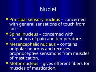 Nuclei
Principal sensory nucleus – concerned
with general sensations of touch from
face.
Spinal nucleus – concerned with
sensations of pain and temperature.
Mesencephalic nucleus – contains
unipolar neurons and receives
proprioceptive sensations from muscles
of mastication.
Motor nucleus – gives efferent fibers for
muscles of mastication.
 