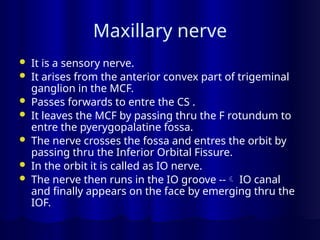 Maxillary nerve
 It is a sensory nerve.
 It arises from the anterior convex part of trigeminal
ganglion in the MCF.
 Passes forwards to entre the CS .
 It leaves the MCF by passing thru the F rotundum to
entre the pyerygopalatine fossa.
 The nerve crosses the fossa and entres the orbit by
passing thru the Inferior Orbital Fissure.
 In the orbit it is called as IO nerve.
 The nerve then runs in the IO groove -- IO canal
and finally appears on the face by emerging thru the
IOF.
 