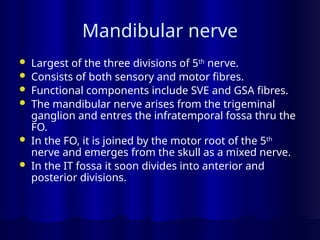 Mandibular nerve
 Largest of the three divisions of 5th
nerve.
 Consists of both sensory and motor fibres.
 Functional components include SVE and GSA fibres.
 The mandibular nerve arises from the trigeminal
ganglion and entres the infratemporal fossa thru the
FO.
 In the FO, it is joined by the motor root of the 5th
nerve and emerges from the skull as a mixed nerve.
 In the IT fossa it soon divides into anterior and
posterior divisions.
 