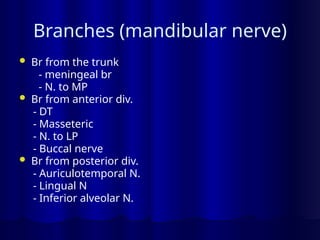 Branches (mandibular nerve)
 Br from the trunk
- meningeal br
- N. to MP
 Br from anterior div.
- DT
- Masseteric
- N. to LP
- Buccal nerve
 Br from posterior div.
- Auriculotemporal N.
- Lingual N
- Inferior alveolar N.
 
