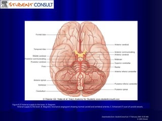 Figure 8.37 Arterial supply to the brain. A. Diagram.
Arterial supply to the brain. B. Magnetic resonance angiogram showing normal carotid and vertebral arteries. C. Enhanced CT scan of carotid vessels.
Downloaded from: StudentConsult (on 17 February 2005 10:30 AM)
© 2005 Elsevier
 