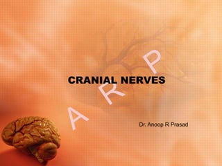 CRANIAL NERVES
Dr. Anoop R Prasad
 