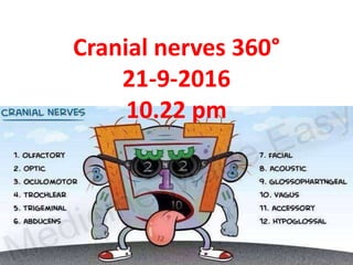Cranial nerves 360°
29-9-2016
7.59 pm
 