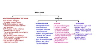Anatomy of Cranial Nerves IX - X - XI - XII.pptx
