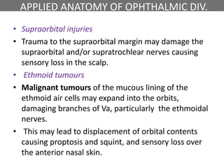 APPLIED ANATOMY OF OPHTHALMIC DIV.
• Supraorbital injuries
• Trauma to the supraorbital margin may damage the
supraorbital and/or supratrochlear nerves causing
sensory loss in the scalp.
• Ethmoid tumours
• Malignant tumours of the mucous lining of the
ethmoid air cells may expand into the orbits,
damaging branches of Va, particularly the ethmoidal
nerves.
• This may lead to displacement of orbital contents
causing proptosis and squint, and sensory loss over
the anterior nasal skin.
 