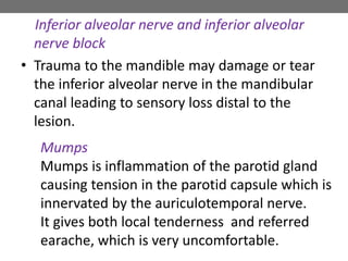 Inferior alveolar nerve and inferior alveolar
nerve block
• Trauma to the mandible may damage or tear
the inferior alveolar nerve in the mandibular
canal leading to sensory loss distal to the
lesion.
Mumps
Mumps is inflammation of the parotid gland
causing tension in the parotid capsule which is
innervated by the auriculotemporal nerve.
It gives both local tenderness and referred
earache, which is very uncomfortable.
 
