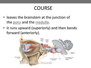 COURSE
• leaves the brainstem at the junction of
the pons and the medulla.
• it runs upward (superiorly) and then bends
forward (anteriorly).
 