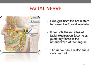 125
• Emerges from the brain stem
between the Pons & medulla.
• It controls the muscles of
facial expression & conveys
gustatory fibres to the
anterior 2/3rd of the tongue.
• The nerve has a motor and a
sensory root.
FACIAL NERVE
 