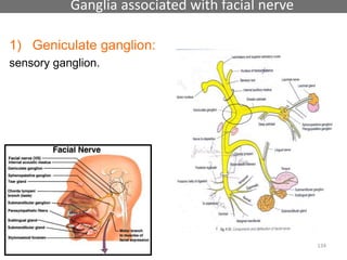 Ganglia associated with facial nerve
1) Geniculate ganglion:
sensory ganglion.
134
 