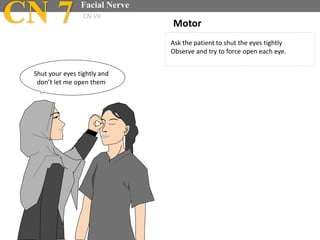 Ask the patient to shut the eyes tightly
Observe and try to force open each eye.
Motor
Shut your eyes tightly and
don’t let me open them
CN 7 Facial Nerve
CN VII
 