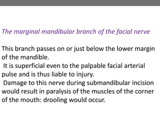 The marginal mandibular branch of the facial nerve
This branch passes on or just below the lower margin
of the mandible.
It is superficial even to the palpable facial arterial
pulse and is thus liable to injury.
Damage to this nerve during submandibular incision
would result in paralysis of the muscles of the corner
of the mouth: drooling would occur.
 