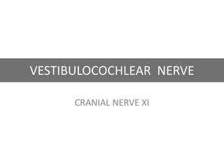 VESTIBULOCOCHLEAR NERVE
CRANIAL NERVE XI
 