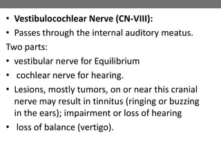 • Vestibulocochlear Nerve (CN-VIII):
• Passes through the internal auditory meatus.
Two parts:
• vestibular nerve for Equilibrium
• cochlear nerve for hearing.
• Lesions, mostly tumors, on or near this cranial
nerve may result in tinnitus (ringing or buzzing
in the ears); impairment or loss of hearing
• loss of balance (vertigo).
 
