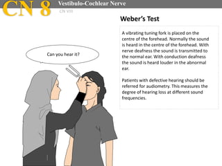 Weber’s Test
A vibrating tuning fork is placed on the
centre of the forehead. Normally the sound
is heard in the centre of the forehead. With
nerve deafness the sound is transmitted to
the normal ear. With conduction deafness
the sound is heard louder in the abnormal
ear.
Patients with defective hearing should be
referred for audiometry. This measures the
degree of hearing loss at different sound
frequencies.
Can you hear it?
CN 8 Vestibulo-Cochlear Nerve
CN VIII
 