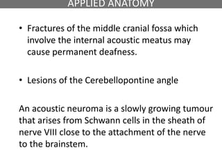 • Fractures of the middle cranial fossa which
involve the internal acoustic meatus may
cause permanent deafness.
• Lesions of the Cerebellopontine angle
An acoustic neuroma is a slowly growing tumour
that arises from Schwann cells in the sheath of
nerve VIII close to the attachment of the nerve
to the brainstem.
APPLIED ANATOMY
 