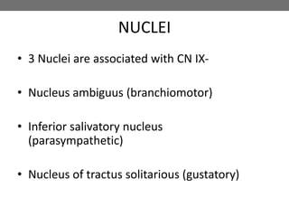 NUCLEI
• 3 Nuclei are associated with CN IX-
• Nucleus ambiguus (branchiomotor)
• Inferior salivatory nucleus
(parasympathetic)
• Nucleus of tractus solitarious (gustatory)
 