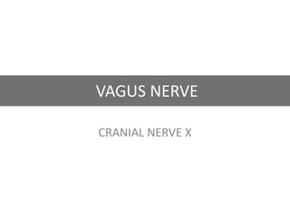 VAGUS NERVE
CRANIAL NERVE X
 