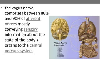 • the vagus nerve
comprises between 80%
and 90% of afferent
nerves mostly
conveying sensory
information about the
state of the body's
organs to the central
nervous system
 