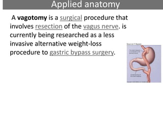 Applied anatomy
A vagotomy is a surgical procedure that
involves resection of the vagus nerve. is
currently being researched as a less
invasive alternative weight-loss
procedure to gastric bypass surgery.
 