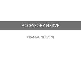 ACCESSORY NERVE
CRANIAL NERVE XI
 