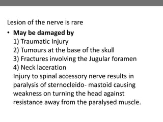 Lesion of the nerve is rare
• May be damaged by
1) Traumatic Injury
2) Tumours at the base of the skull
3) Fractures involving the Jugular foramen
4) Neck laceration
Injury to spinal accessory nerve results in
paralysis of sternocleido- mastoid causing
weakness on turning the head against
resistance away from the paralysed muscle.
 