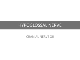 HYPOGLOSSAL NERVE
CRANIAL NERVE XII
 