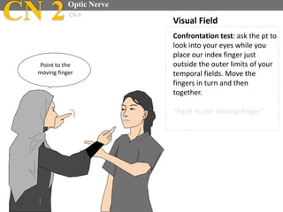 Confrontation test: ask the pt to
look into your eyes while you
place our index finger just
outside the outer limits of your
temporal fields. Move the
fingers in turn and then
together.
“Point to the moving finger”
Point to the
moving finger
Visual FieldCN 2Optic Nerve
CN II
 