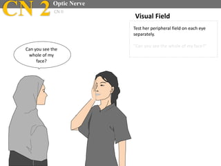 Test her peripheral field on each eye
separately.
“Can you see the whole of my face?”
Can you see the
whole of my
face?
Visual FieldCN 2Optic Nerve
CN II
 
