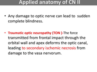 Applied anatomy of CN II
• Any damage to optic nerve can lead to sudden
complete blindness.
• Traumatic optic neuropathy (TON )-The force
transmitted from frontal impact through the
orbital wall and apex deforms the optic canal,
leading to secondary ischemic necrosis from
damage to the vasa nervorum.
 