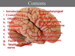 Contents
• Introduction
• Cranial Nerves-
a. Olfactory
b. Optic
c. Occlumotor
d. Trochlear
e. Trigeminal
f. Abducent
g. Facial nerve
h. Vestibulocochlear
nerve
i. Glossopharyngeal
nerve
j. Vagus nerve
k. Accessory nerve
l. Hypoglossal nerve
• Clinical examination.
• Applied anatomy.
• Clinical importance.
 