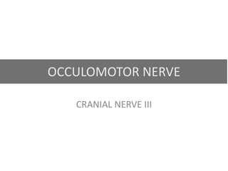 OCCULOMOTOR NERVE
CRANIAL NERVE III
 