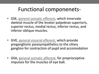 Functional componenets-
• GSE, general somatic efferent, which innervate
skeletal muscle of the levator palpebrae superioris,
superior rectus, medial rectus, inferior rectus, and
inferior oblique muscles.
• GVE, general visceral efferent, which provide
preganglionic parasympathetics to the ciliary
ganglion for contraction of pupil and accomodation
• GSA, general somatic afferent, for proprioceptive
impulses for the muscles of eye ball.
 