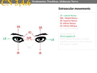 Extraocular movements
SR SR
IRIR
IO
MRLR LR
SO
LR – Lateral Rectus
MR – Medial Rectus
SR- Superior Rectus
IR- Inferior Rectus
IO- Inferior Oblique
SO- Superior Oblique
CN IV supplies SO
CN VI supplies LR
CN III supplies all others + levator
palpebrae superioris (which elevates
the superior eyelids)
CN 3,4.6 Oculomotor, Trochlear, Abducens Nerve
 