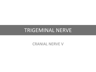 TRIGEMINAL NERVE
CRANIAL NERVE V
 