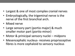 • Largest & one of most complex cranial nerves
• Embryologically, the trigeminal nerve is the
nerve of the first branchial arch.
• Mixed nerve
• Large sensory part (portio major) & much
smaller motor part (portio minor)
• Motor & prinicipal sensory nuclei – midpons
• Mesencephalic nucleus- receives proprioceptive
fibres is more cephaloid to sensory nucleus
 