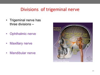 Divisions of trigeminal nerve
• Trigeminal nerve has
three divisions –
• Ophthalmic nerve
• Maxillary nerve
• Mandibular nerve
69
 