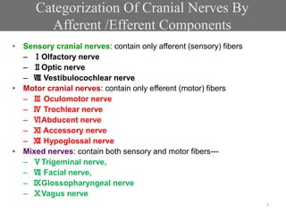 Categorization Of Cranial Nerves By
Afferent /Efferent Components
• Sensory cranial nerves: contain only afferent (sensory) fibers
– ⅠOlfactory nerve
– ⅡOptic nerve
– Ⅷ Vestibulocochlear nerve
• Motor cranial nerves: contain only efferent (motor) fibers
– Ⅲ Oculomotor nerve
– Ⅳ Trochlear nerve
– ⅥAbducent nerve
– Ⅺ Accessory nerve
– Ⅻ Hypoglossal nerve
• Mixed nerves: contain both sensory and motor fibers---
– ⅤTrigeminal nerve,
– Ⅶ Facial nerve,
– ⅨGlossopharyngeal nerve
– ⅩVagus nerve
7
 
