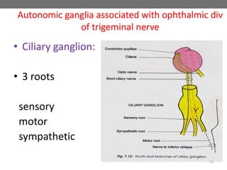 Autonomic ganglia associated with ophthalmic div
of trigeminal nerve
• Ciliary ganglion:
• 3 roots
sensory
motor
sympathetic
75
 